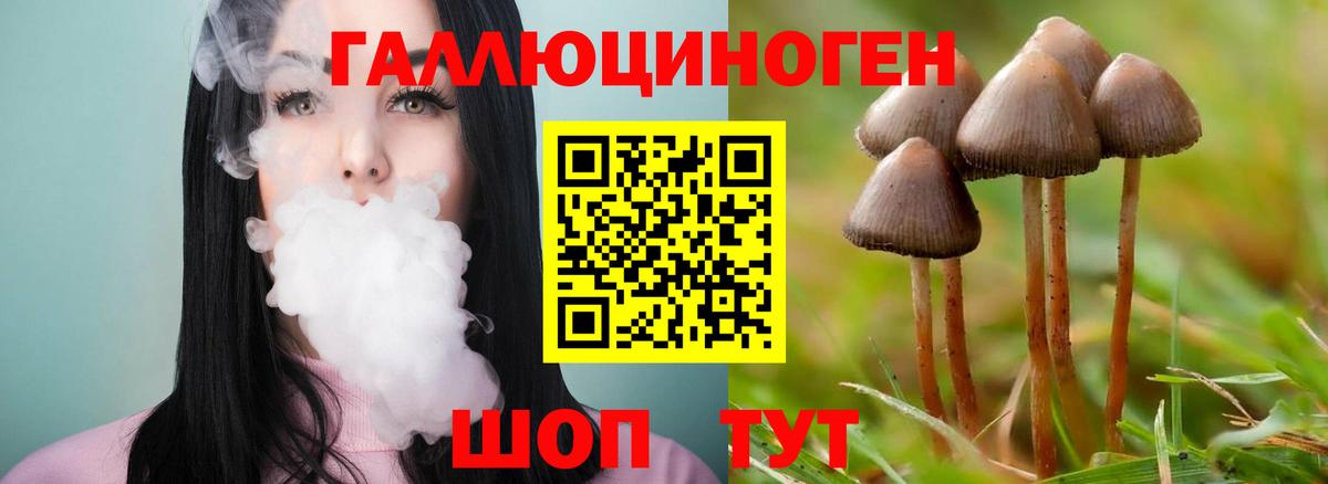 Галлюциногенные грибы ЛСД  Вход с VPN  Псилоцибиновые грибы мухоморы  Дзержинский 